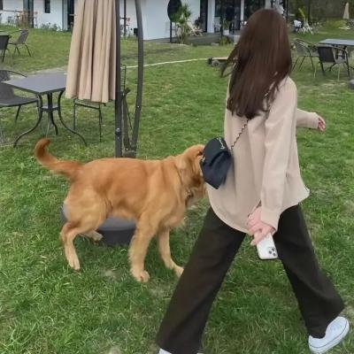 克莱尔的相机